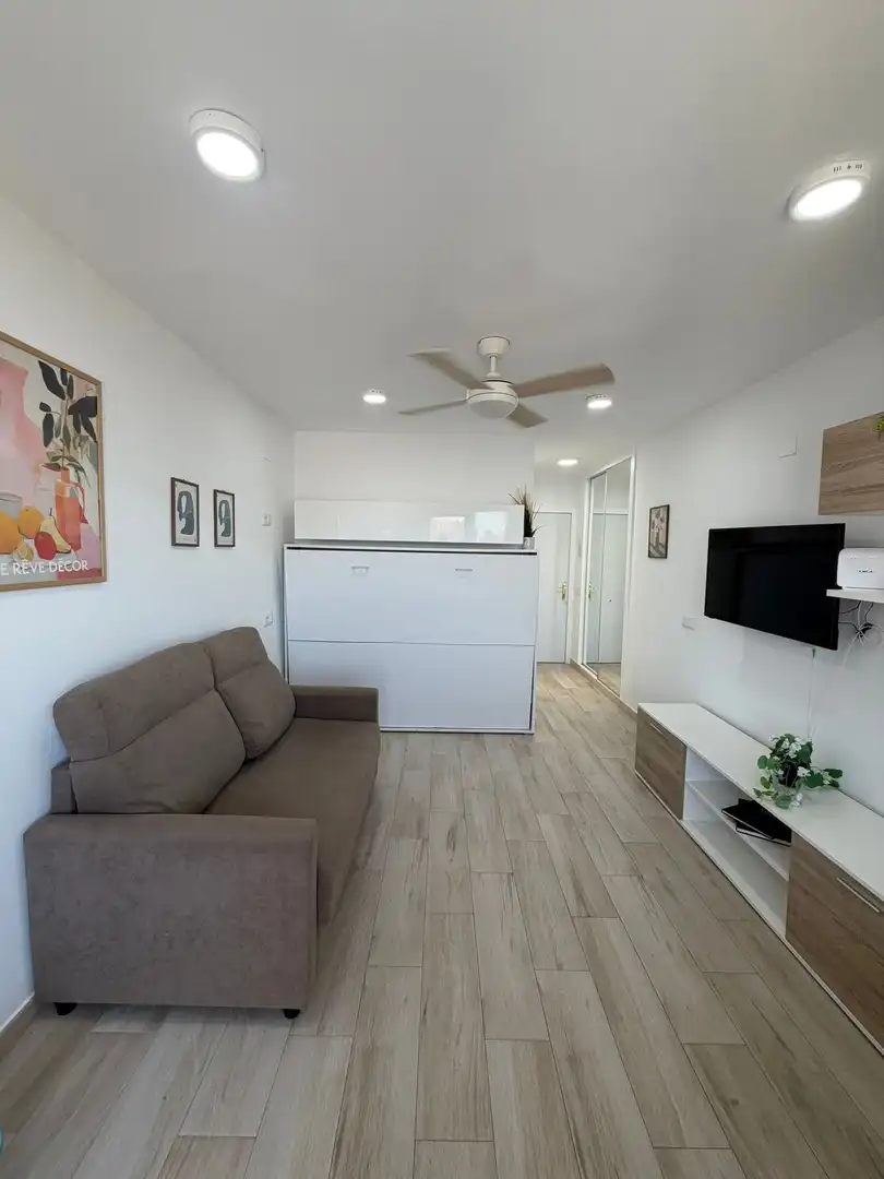 Living room of Study for rent in Benalmádena  with Air Conditioner, Heating and Furnished