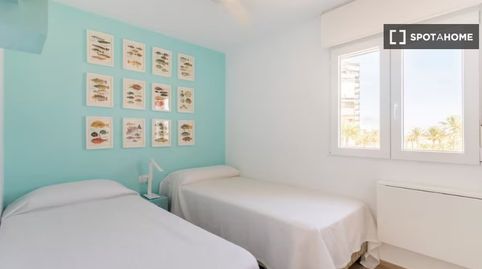 Foto 2 de Habitación en Playa de San Juan, Alicante / Alacant