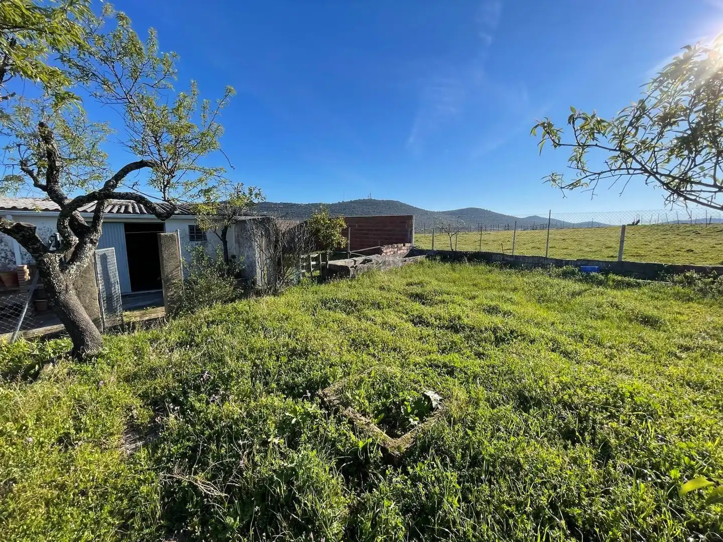 Haus mit Garten zum Verkauf in Ceres Golf, imagen 20