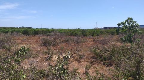 TERRENO ECONÓMICO RUSTICO A LA VENTA EN MONCADA.ZONA POLIGONO 3AUTOVIA A7., immagine 4