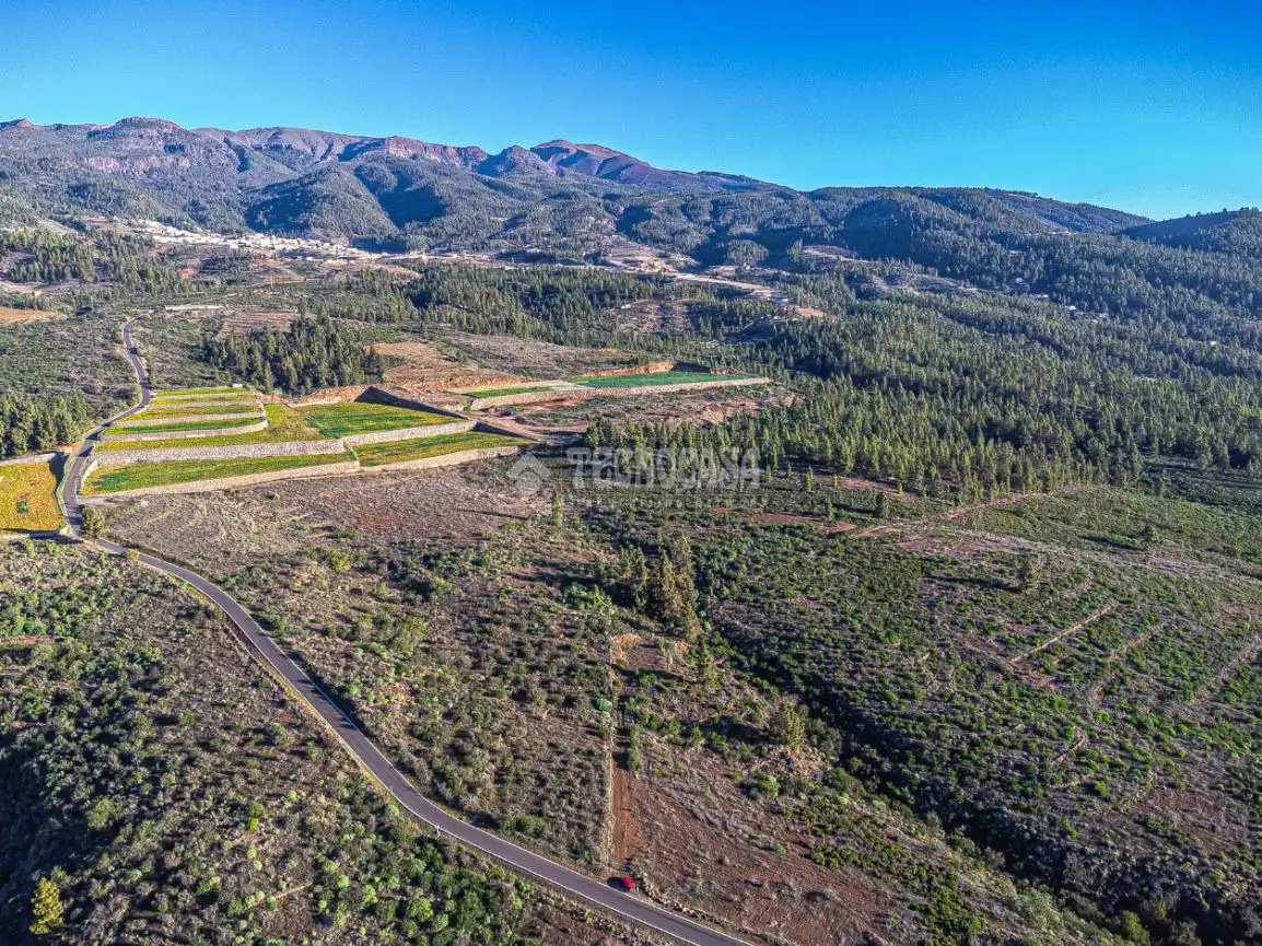 Terreno rústico en venta en Poligono 1, ERA VERDE, VILAFLOR DE CHASNA, imagen 6