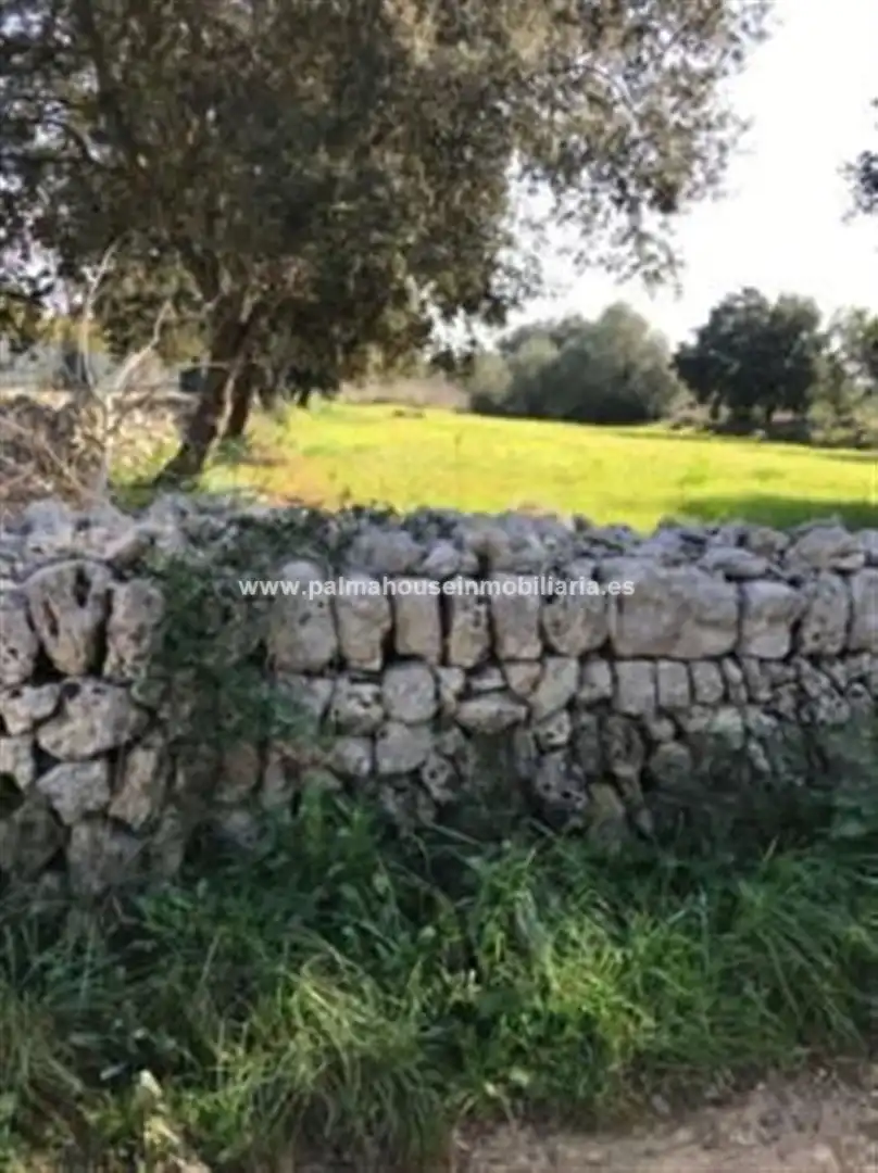 Wohnbaugrundstück zum Verkauf in Llubí, imagen 14