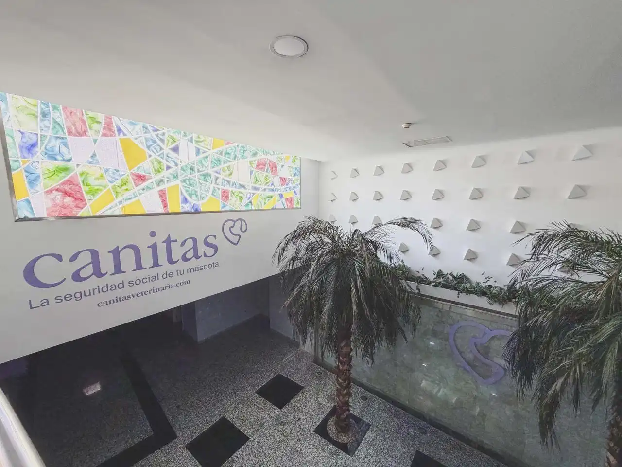 Local comercial en alquiler en Paseo Marítimo - San José - La Laguna, imagen 8