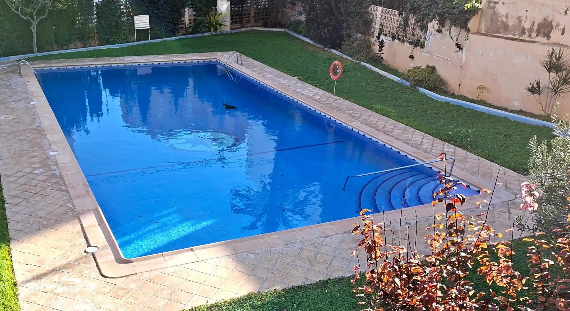 Mini appartamento con piscina in vendita a Centro Urbano, imagen 5