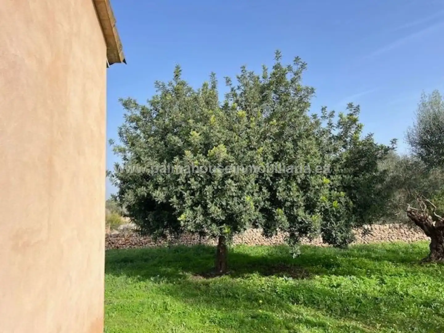 Residencial en venta en Santa Margalida