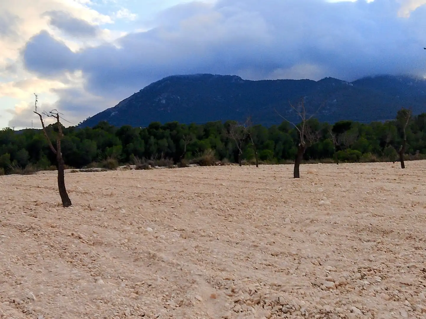 Terreno rustico in vendita a N/A, imagen 15