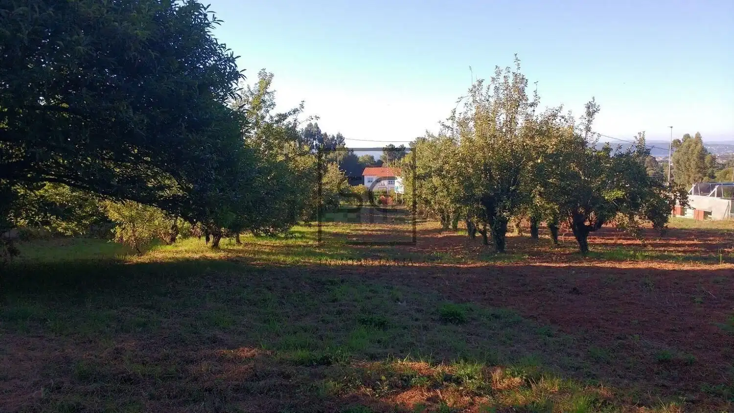 Wohnbaugrundstück zum Verkauf in Avenida Francisco Vizoso, imagen 3