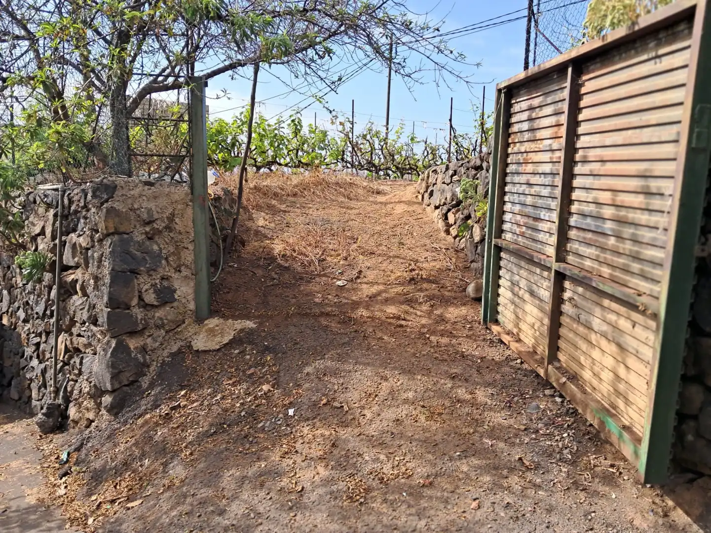 Terreno rústico en venta en Victoria de Acentejo La - Camino Potaiga, imagen 2