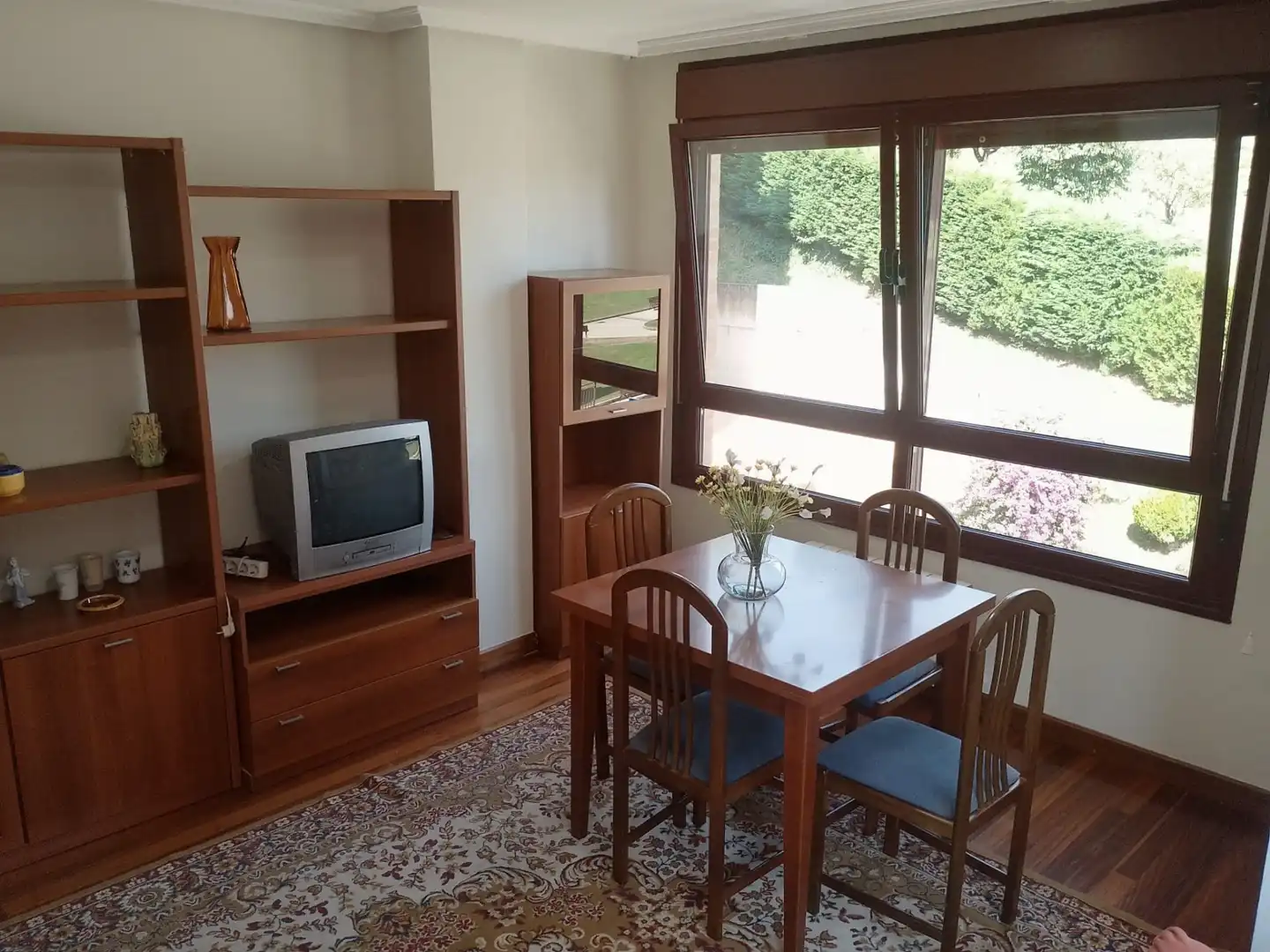 Sala d'estar de Pis de lloguer en Oviedo  amb Calefacció, Jardí privat i Parquet