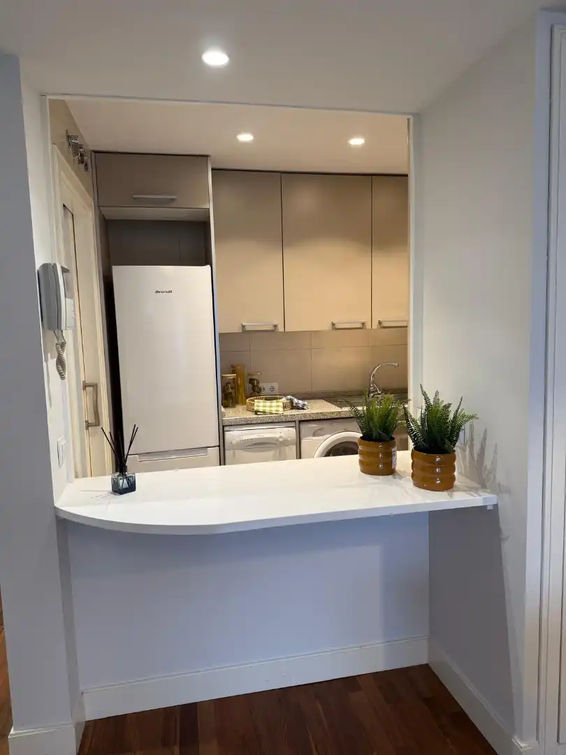 Cocina de Apartamento de alquiler en Las Rozas de Madrid con Aire acondicionado, Calefacción y Jardín privado