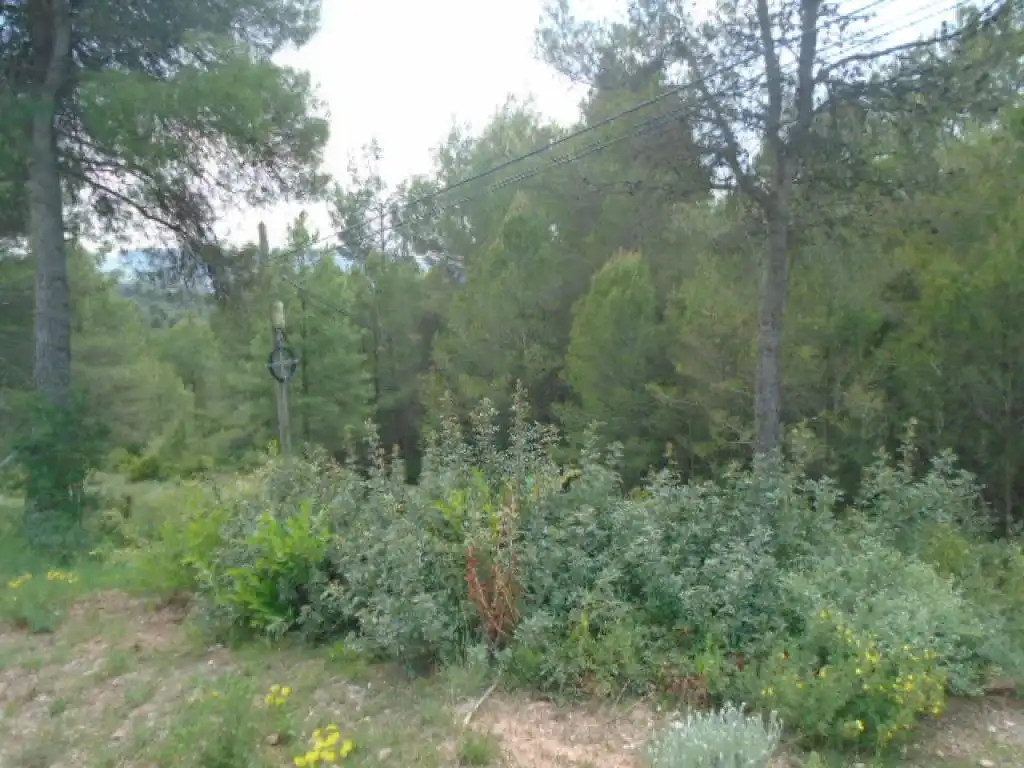 Residencial en venta en Rellinars