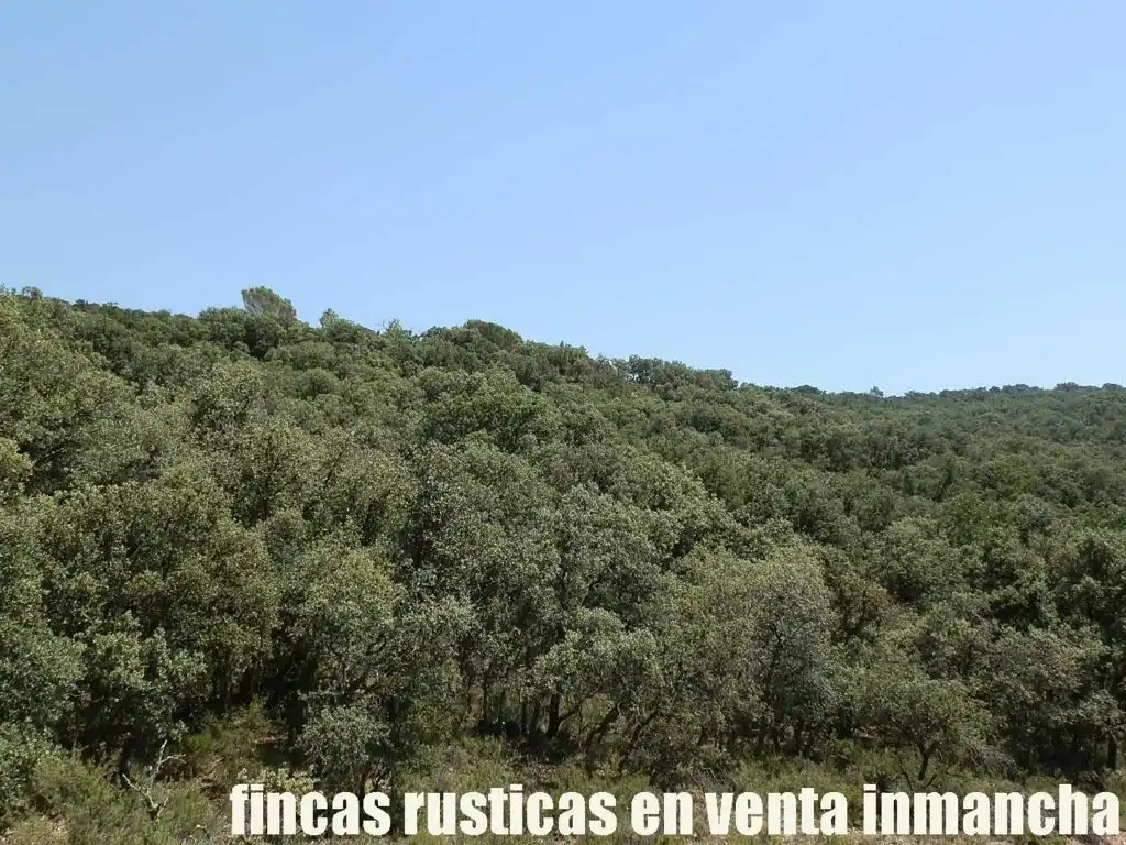 Rustikales Grundstück zum Verkauf in Alcocer, imagen 4