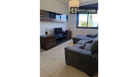 Foto 2 de Habitación en La Cuesta -Finca España, San Cristóbal de la Laguna