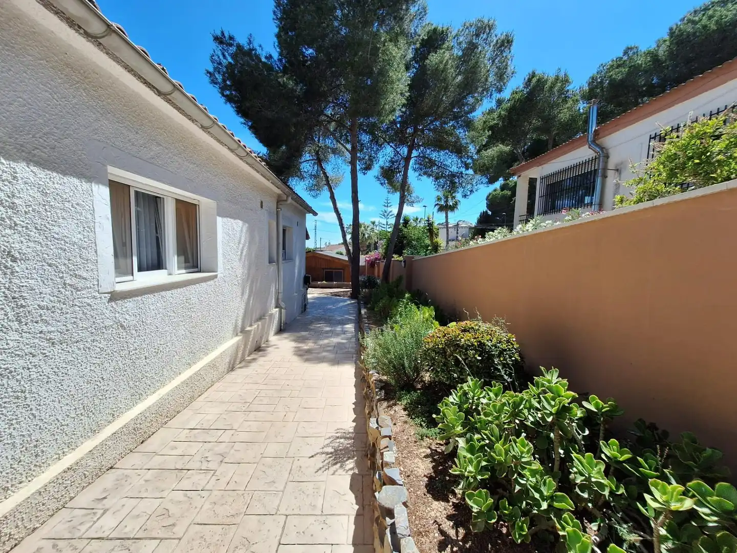 Vista exterior de Casa o xalet en venda en Pilar de la Horadada amb Piscina