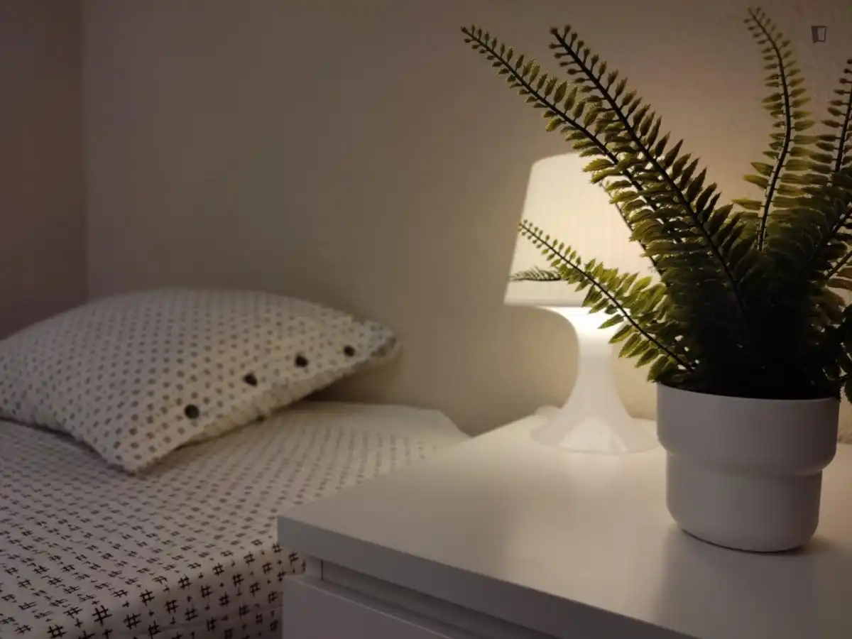 Habitació a Palomeras Sureste