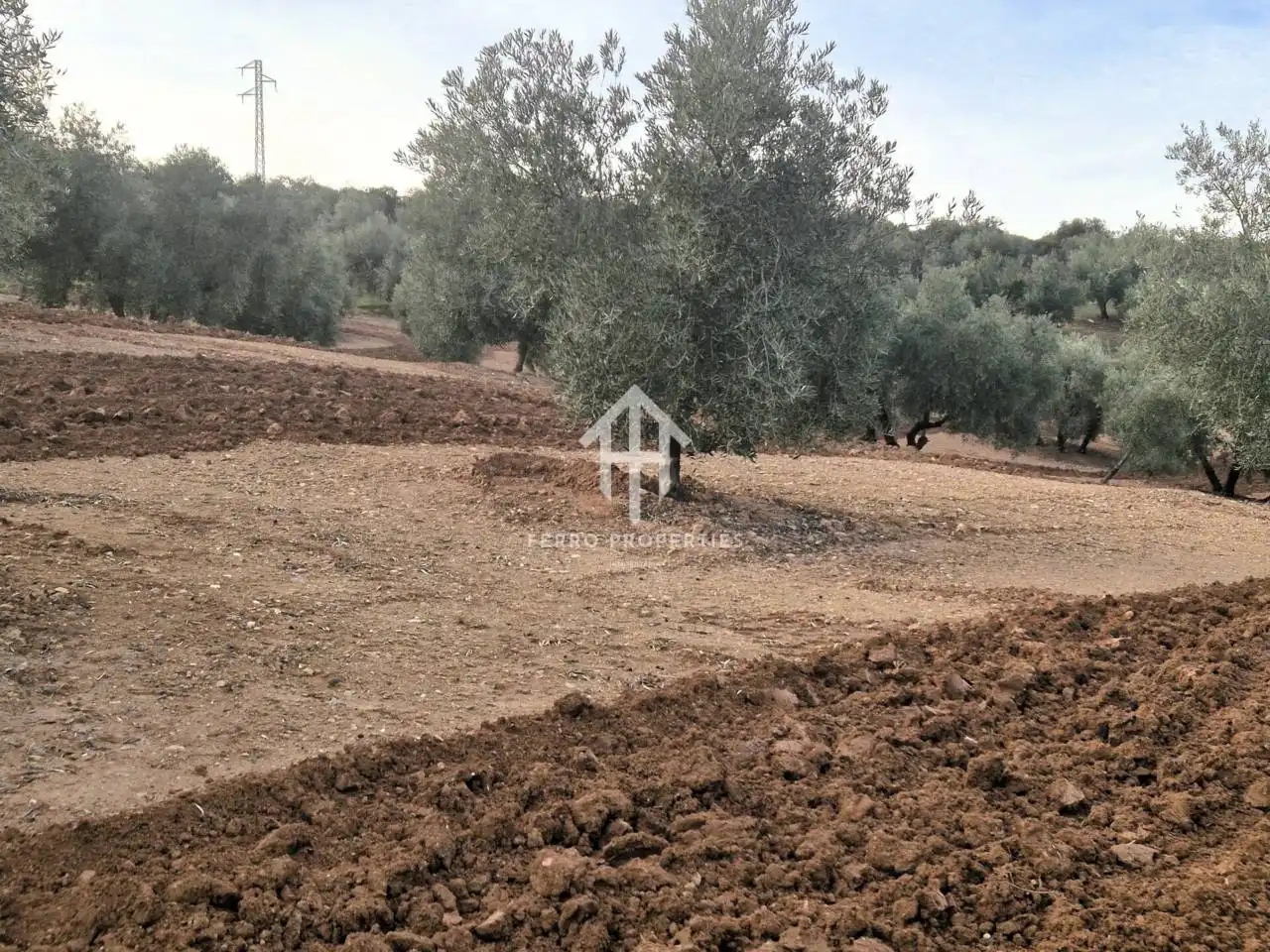 Terreny rústic en venda a Poligono ventorros de laguna 1, imagen 5