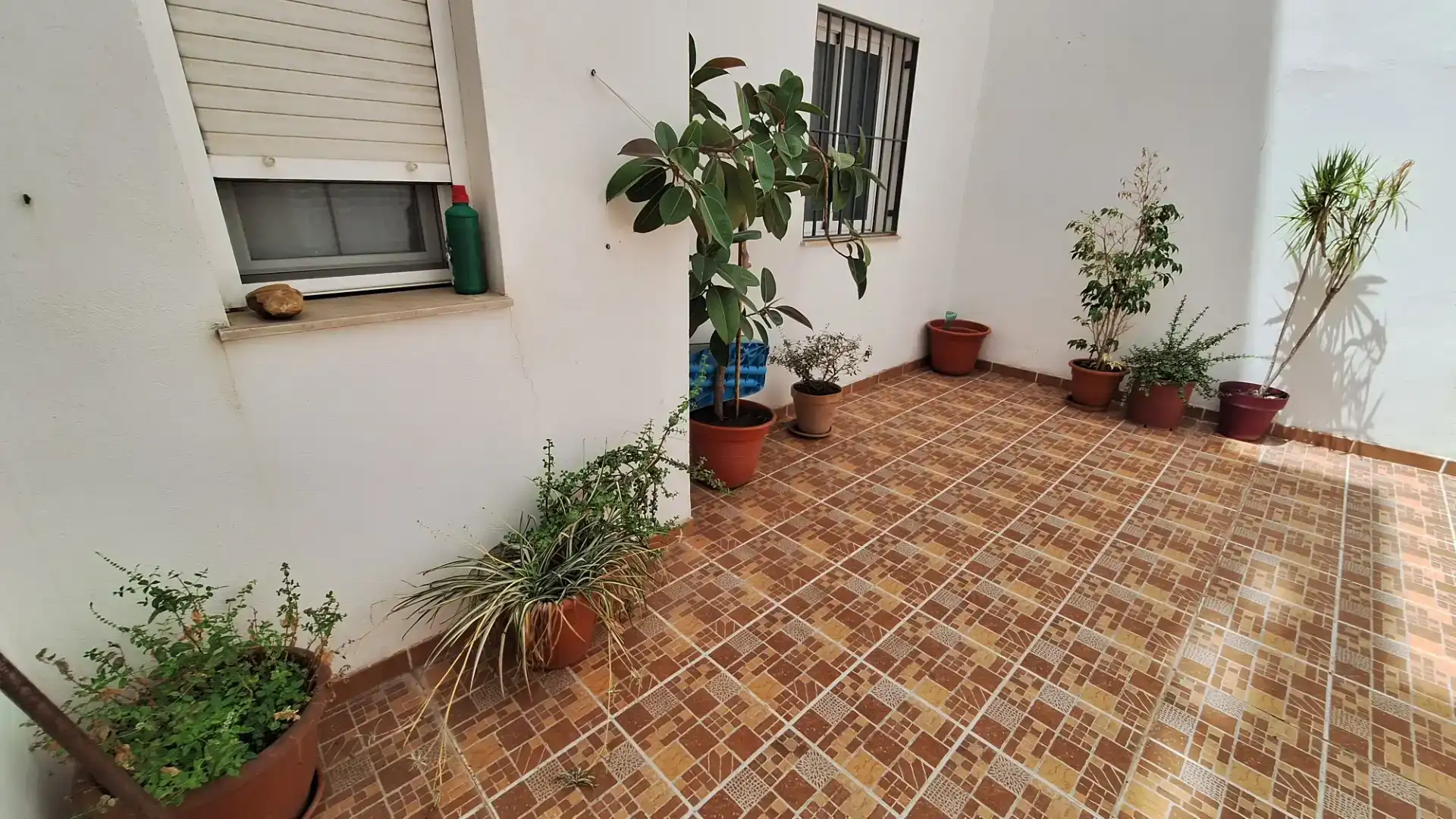 Terrassa de Pis en venda en Canena