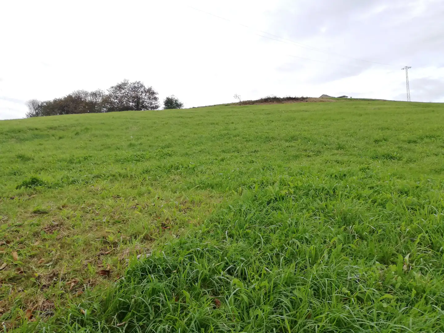 Residential land for sale in Villalegre - La Luz, imagen 2