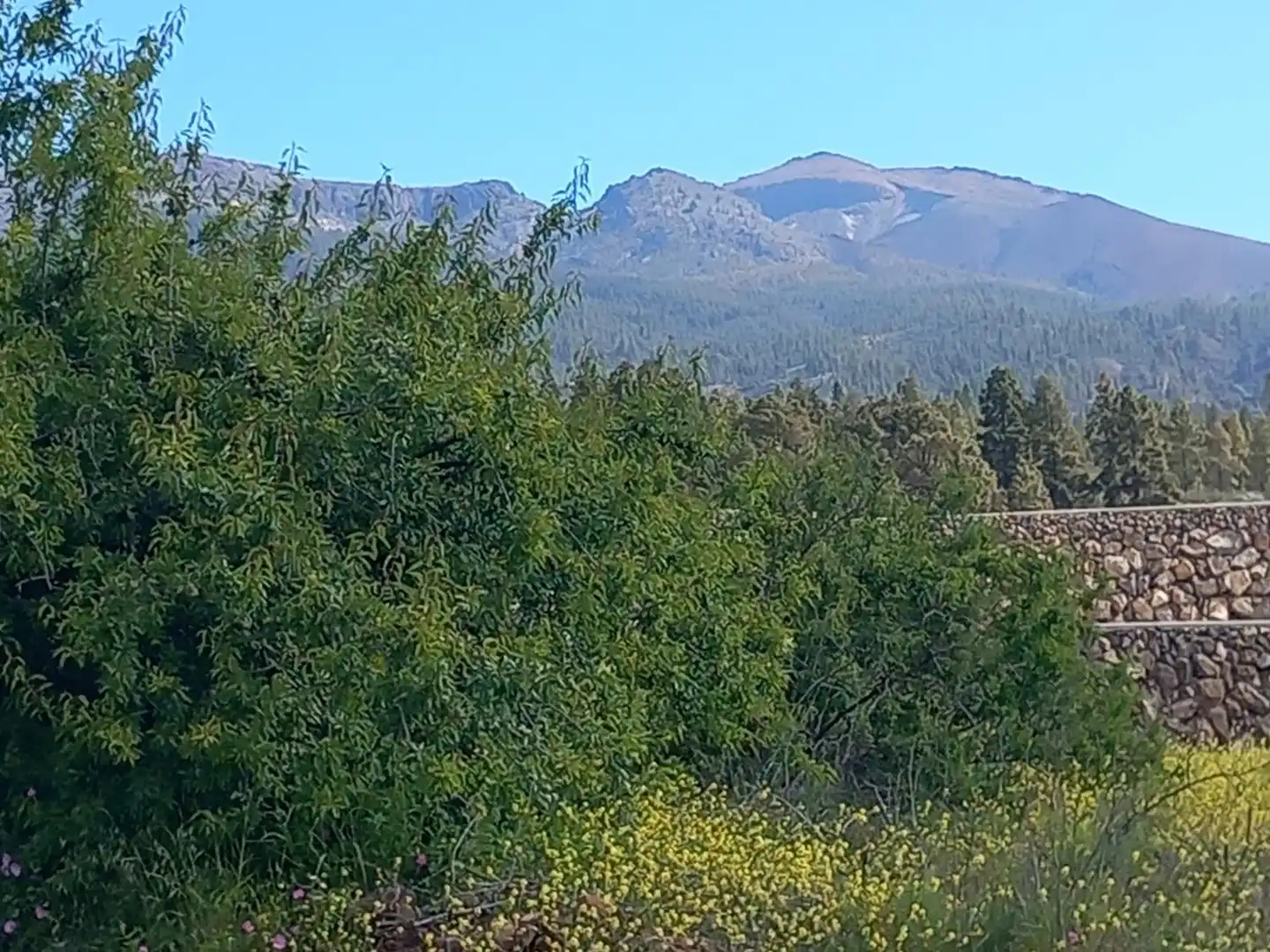 Vista exterior de Casa o chalet en venta en Vilaflor de Chasna con Jardín privado