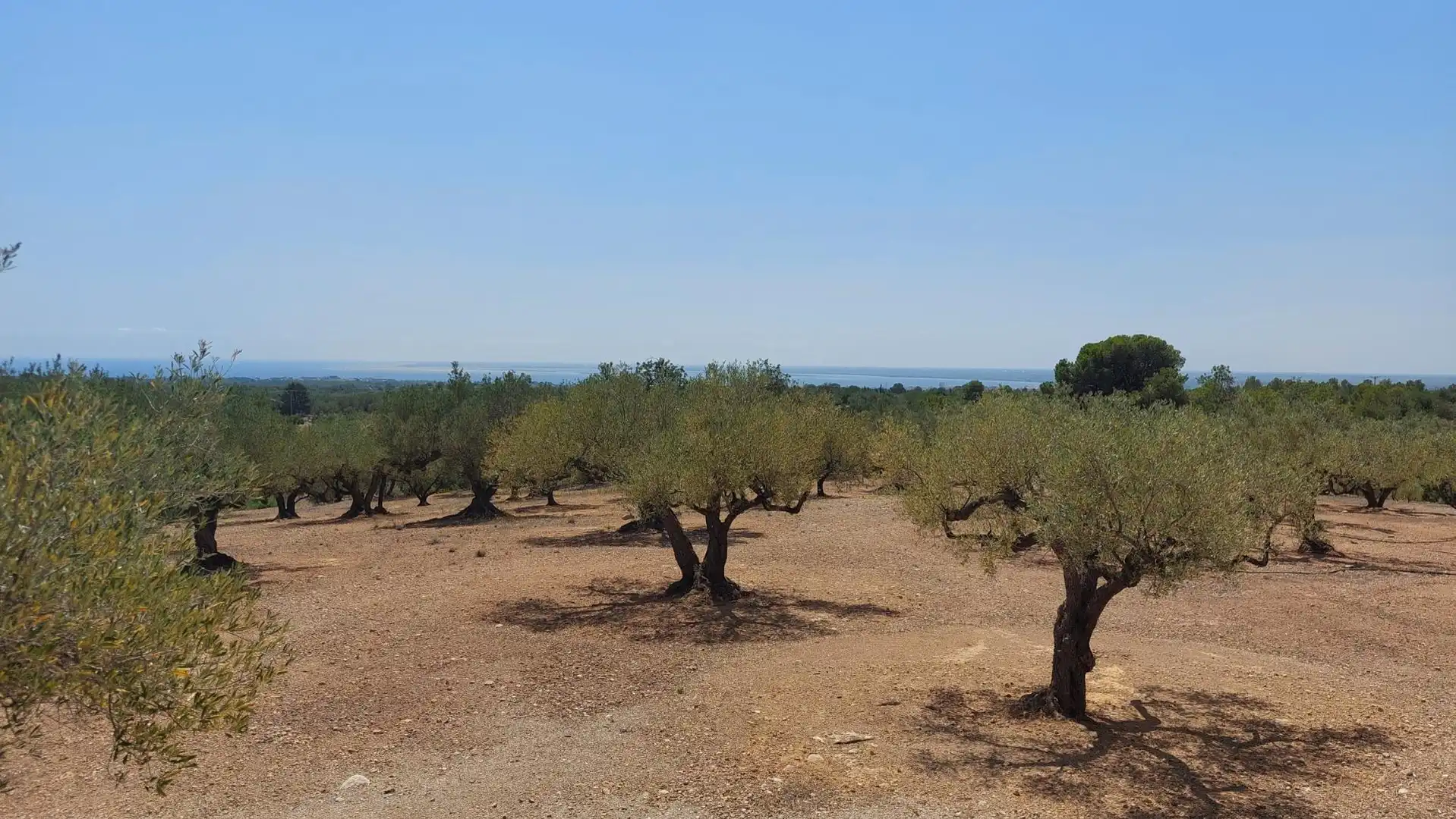 Maison rustique à vendre à L'Ampolla, imagen 25