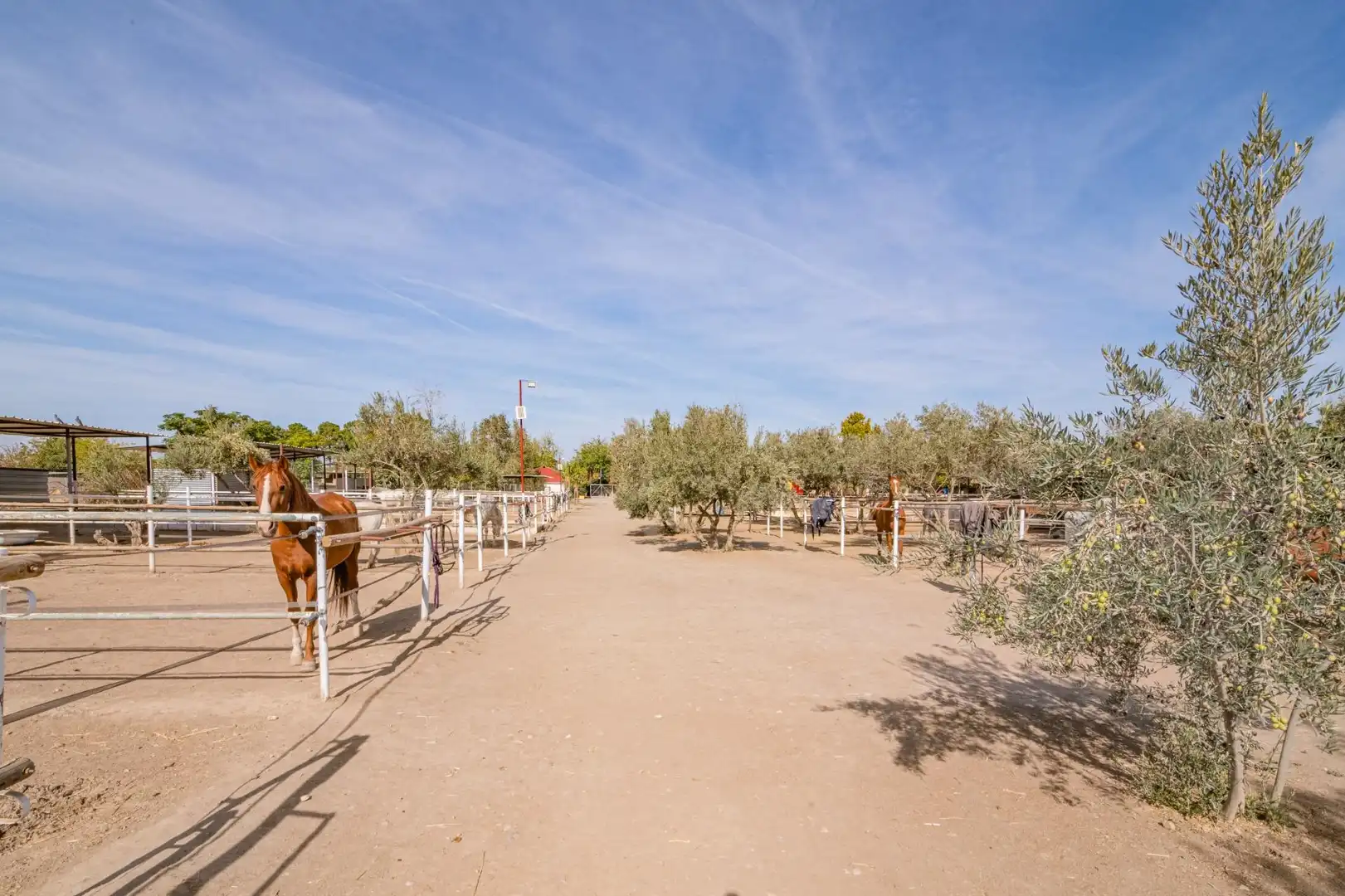 Vista exterior de Finca rústica en venta en La Zubia