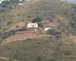 Finca rústica de lloguer a Carretera de Iznate, 107d, Iznate