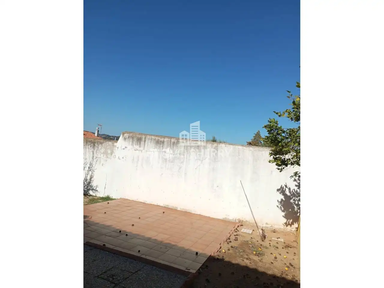 Jardín de Casa o chalet en venta en La Carolina