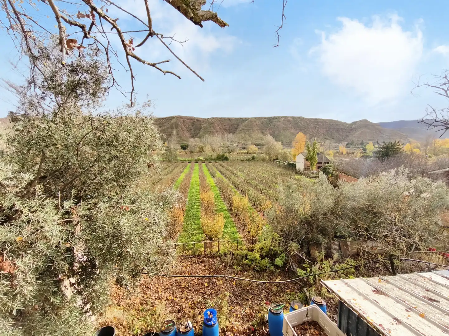 Casa o chalet en venta en Albelda de Iregua
