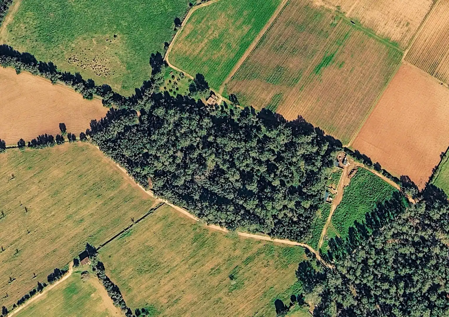 Terreny rústic en venda a Sencelles, imagen 4