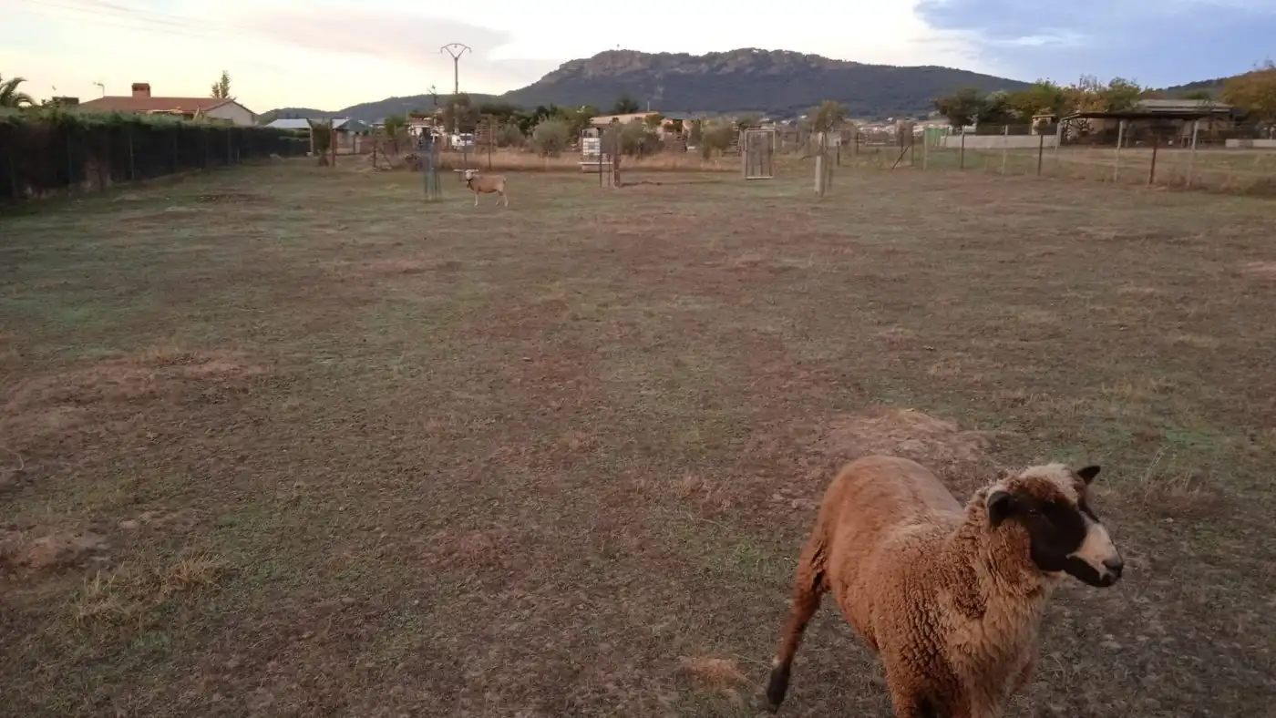 Terreni e lotti in vendita a Sierra de Fuentes, imagen 4
