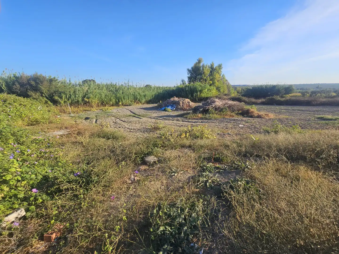 Rural land for sale in Hinojos, imagen 3