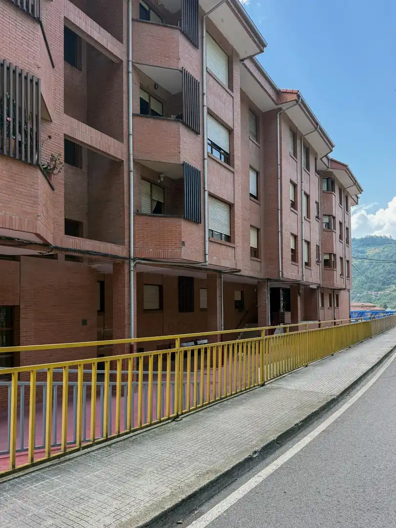 Vista exterior de Piso en venta en Mieres (Asturias) con Calefacción, Parquet y Amueblado