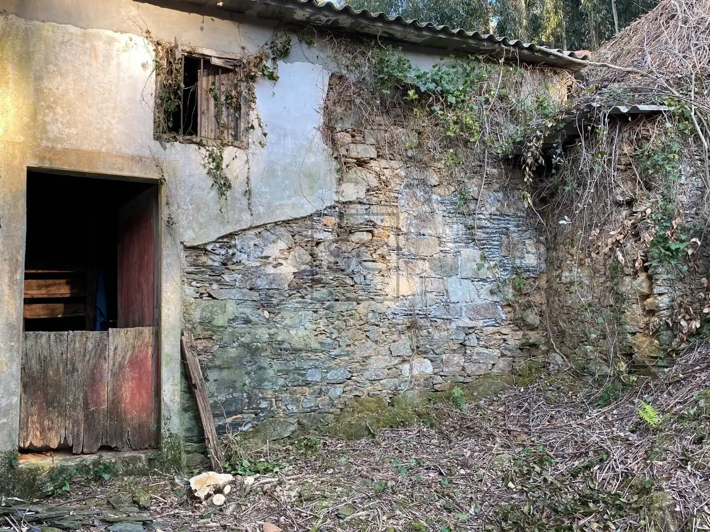 Maison à vendre à CASAS NOVAS, imagen 7