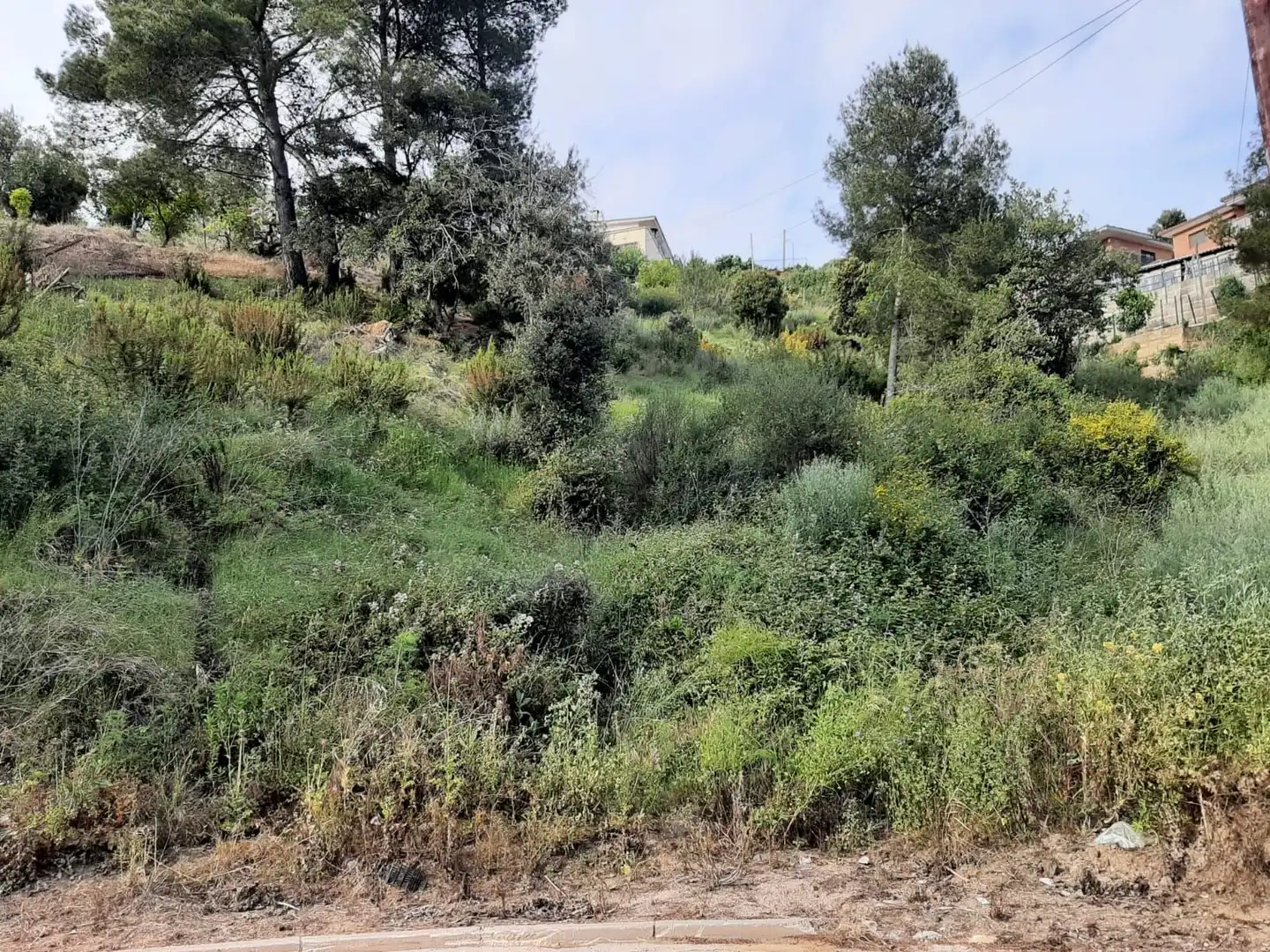 Wohnbaugrundstück zum Verkauf in Santa Susanna, imagen 4