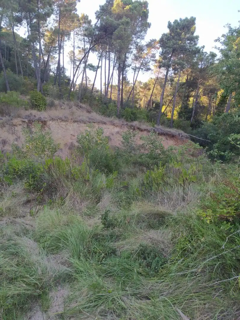 Finca rústica en venta en Riells i Viabrea