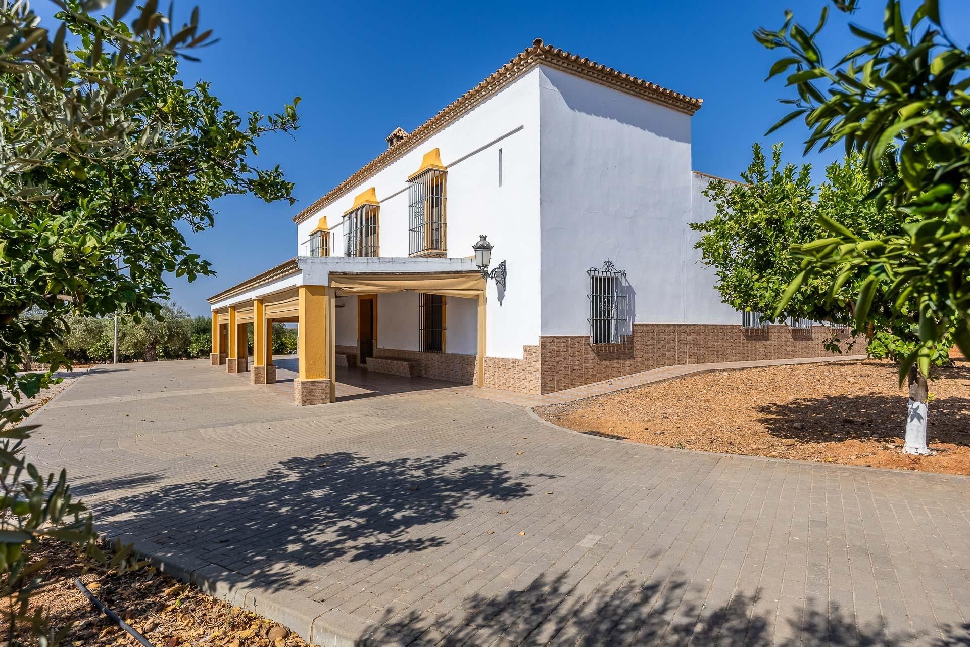 Exterior view of Country house for sale in Carmona  with Private garden, Terrace and Storage room