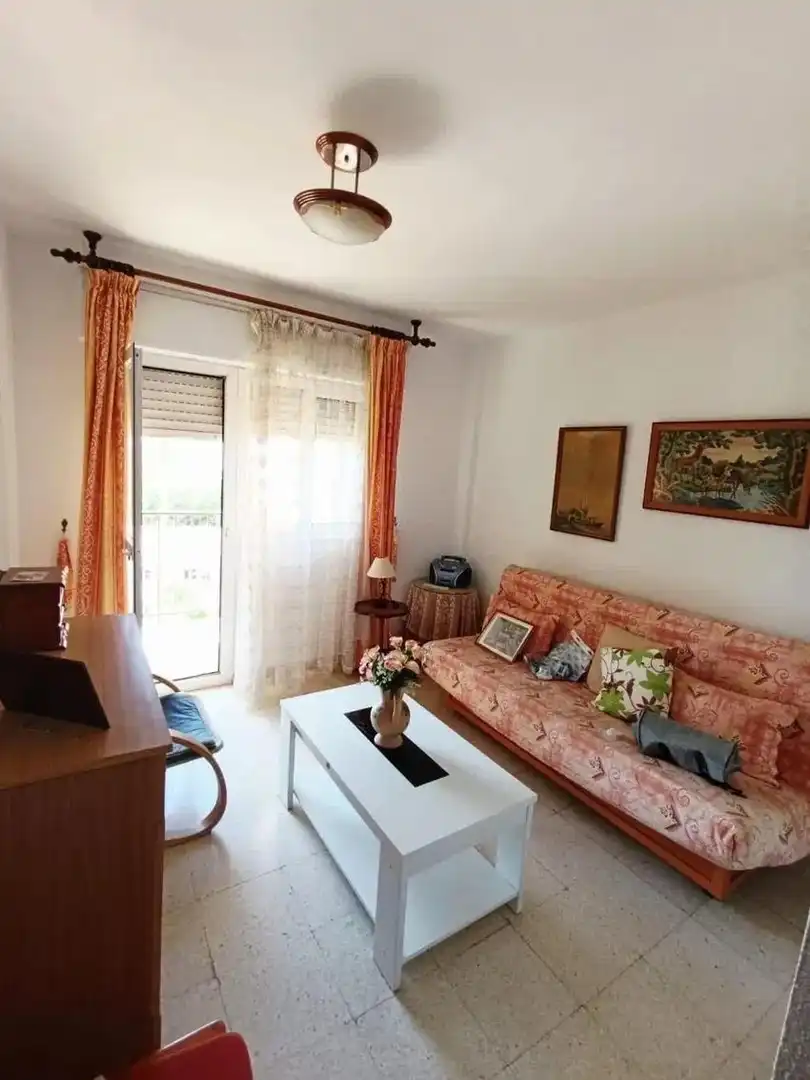 Sala d'estar de Apartament en venda en Málaga