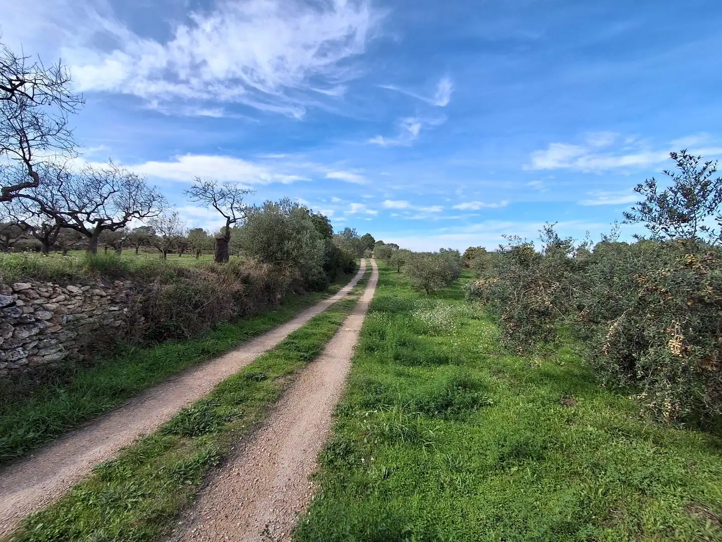 Vista exterior de Finca rústica en venta en Rasquera