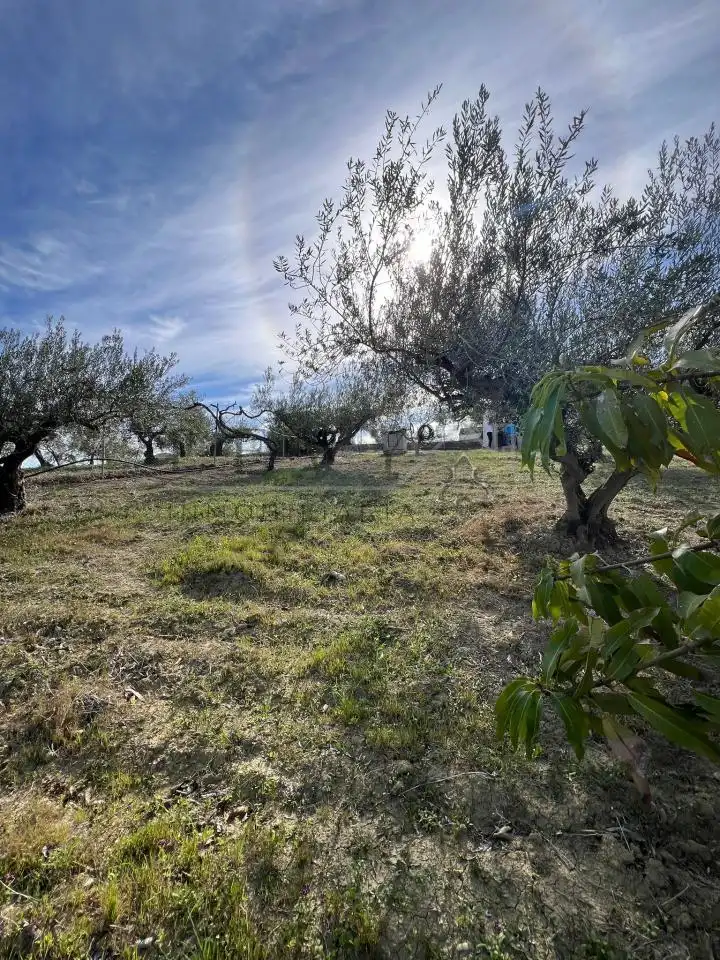 Terreno rustico in vendita a Guaro, imagen 13