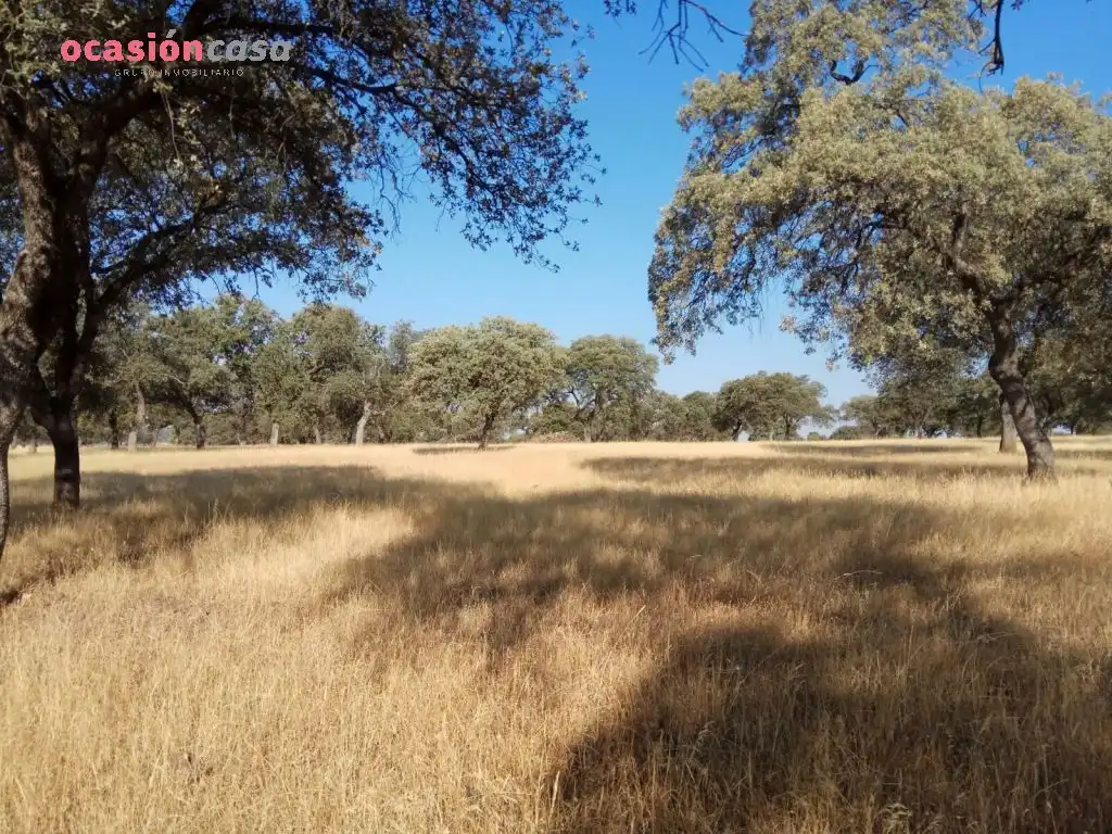 Country homes for sale in Torrecampo