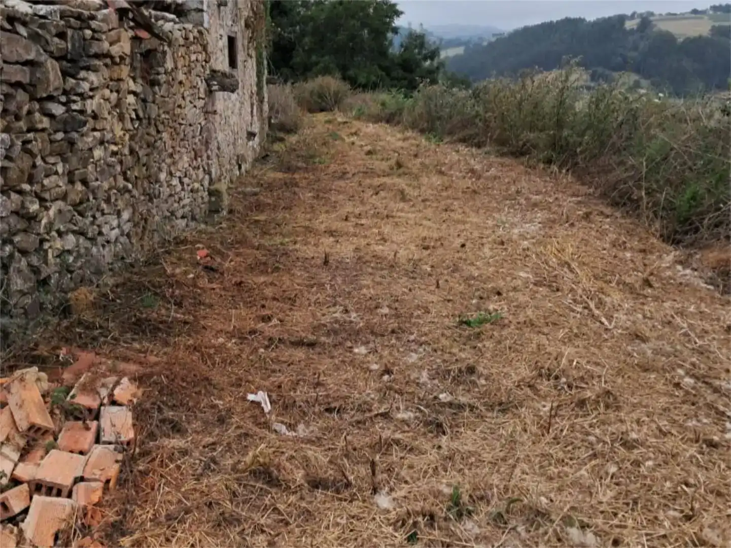 Planta baja en venta en Pravia
