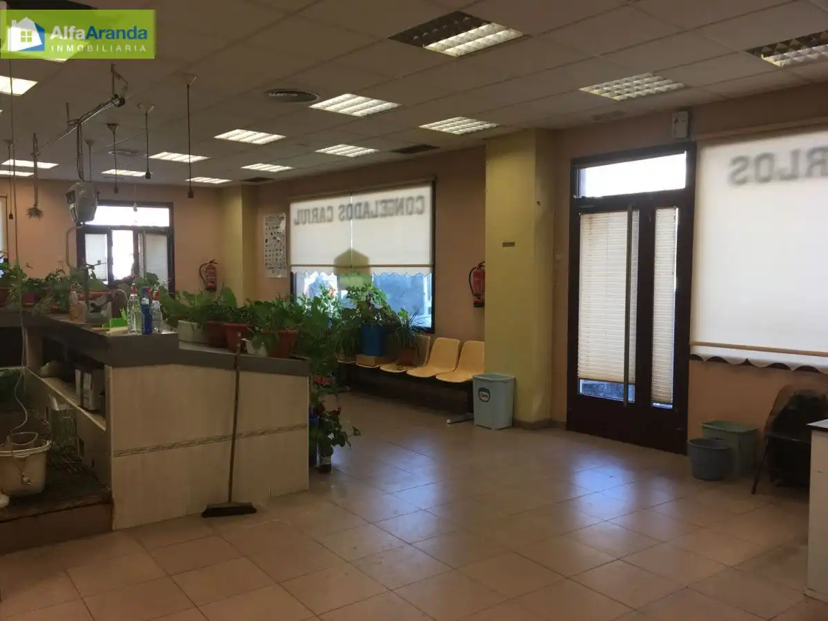 Gewerbefläche zur Miete in Santa Catalina - Ferial, imagen 4