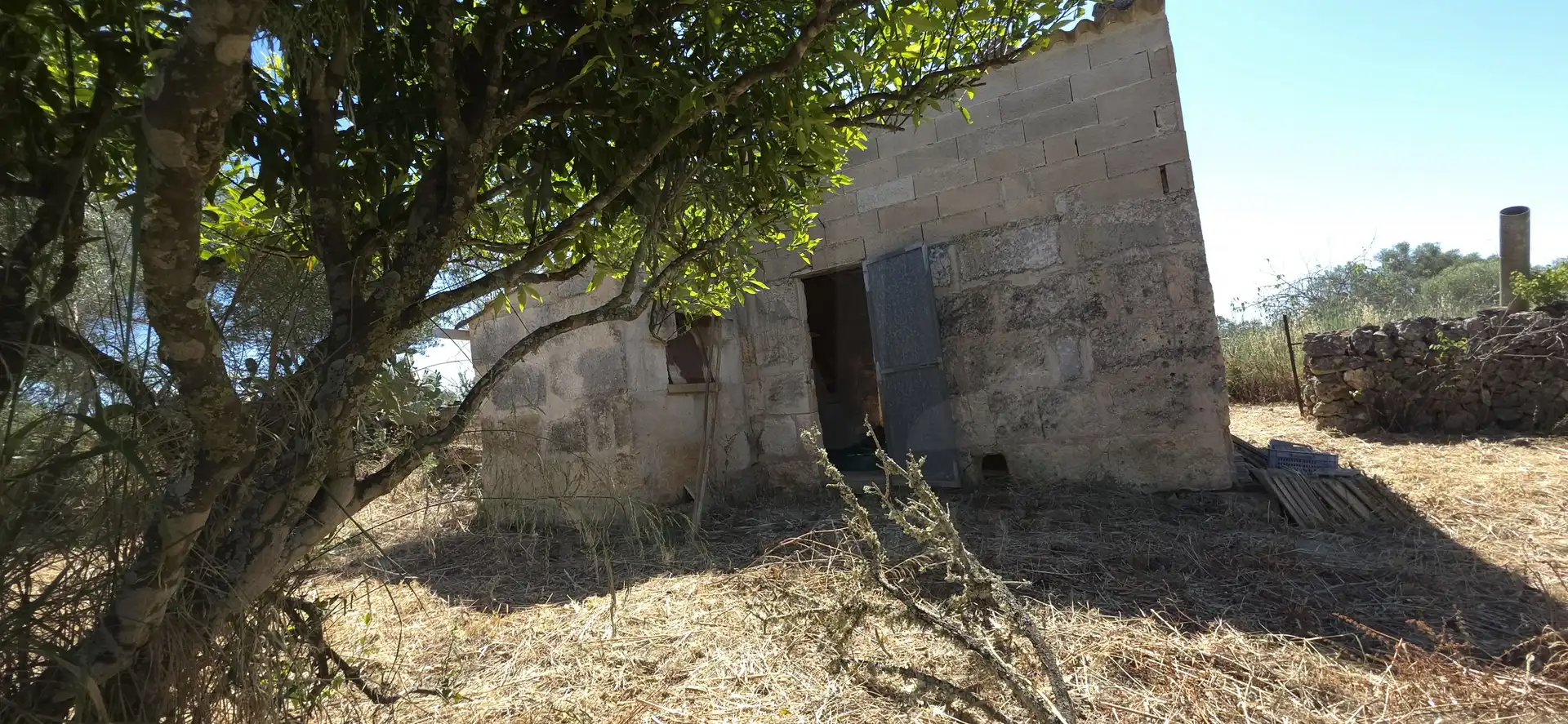 Rustikales Grundstück zum Verkauf in Santa Margalida Poble, imagen 13