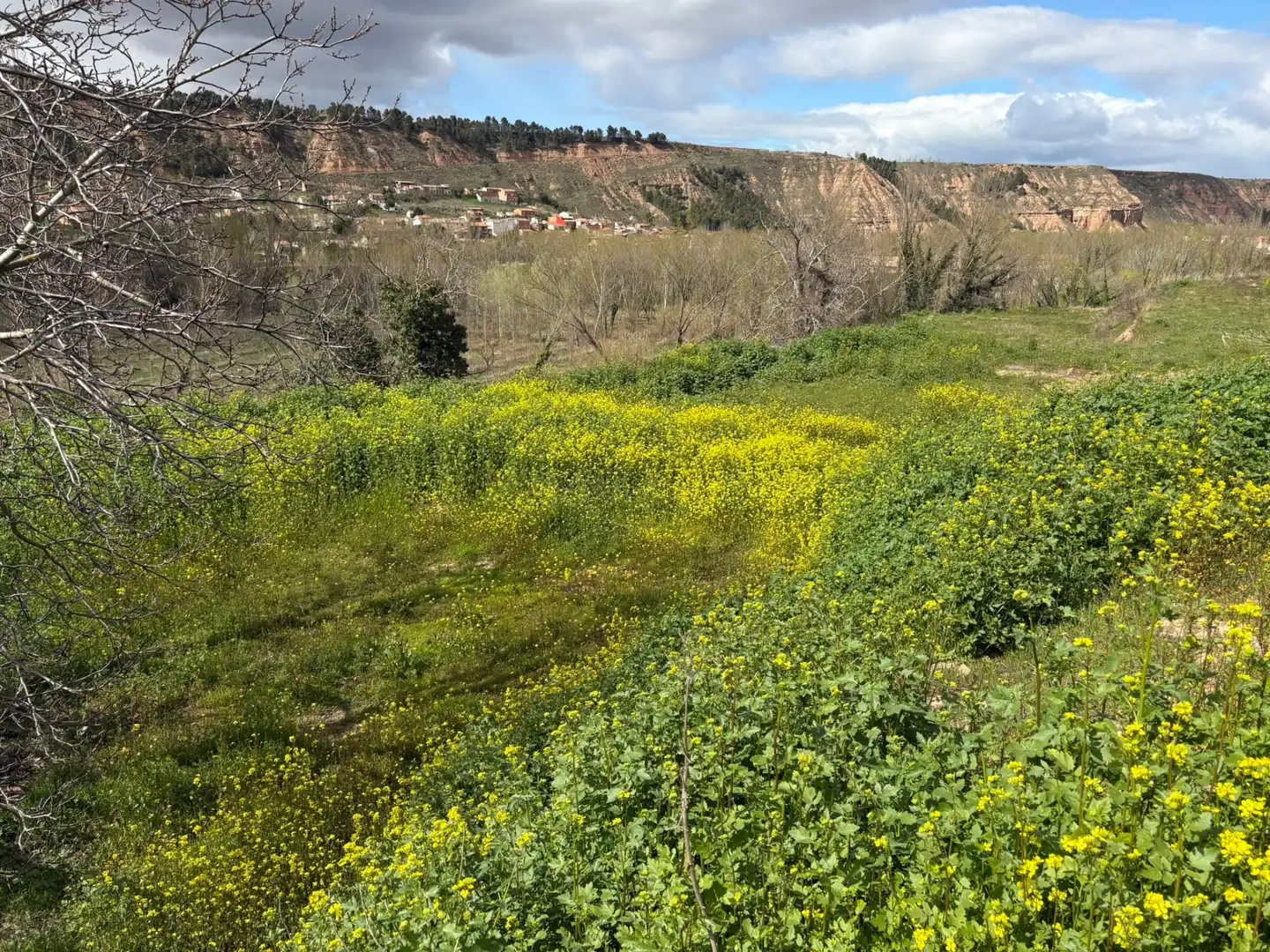 Terreny rústic en venda a Murillo de Río Leza, imagen 2