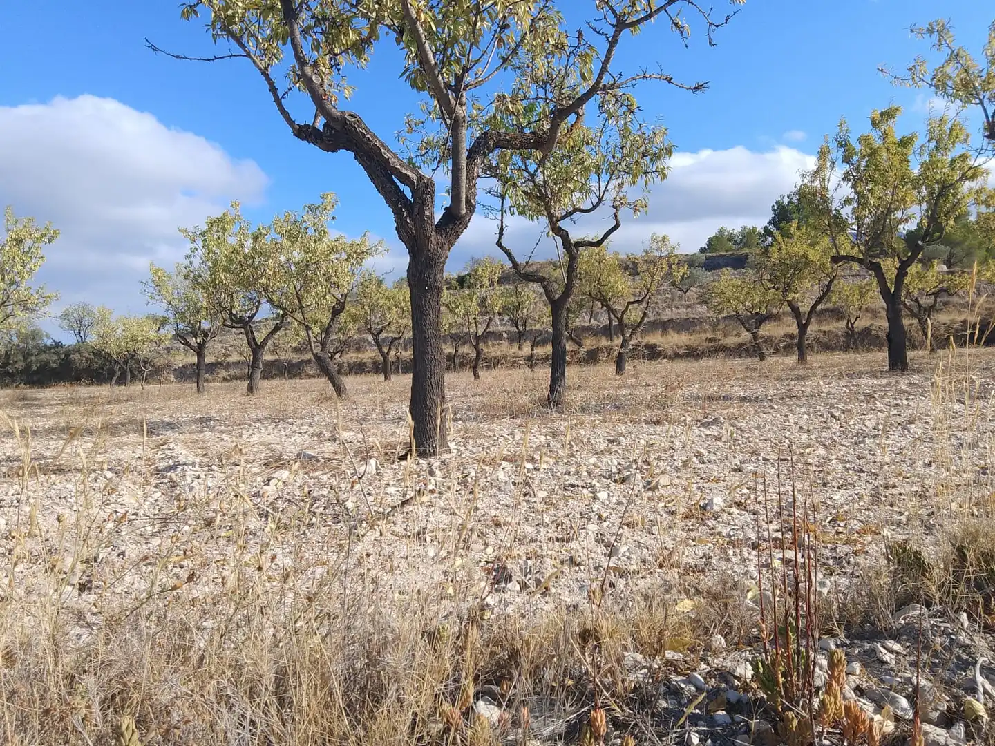 Terreno rustico in vendita a N/A, imagen 112