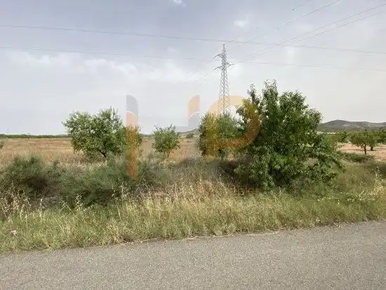 Rural land for sale in Huércal-Overa, imagen 2