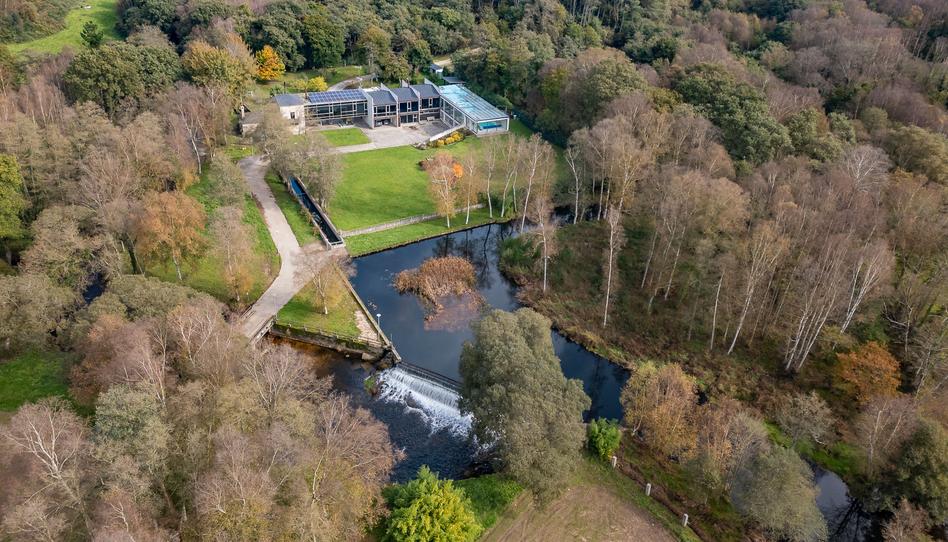 Foto 1 de Finca rústica en venda a Friol, Lugo