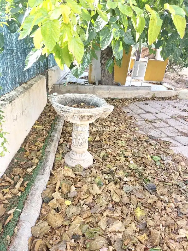 Jardí de Casa o xalet en venda en Puente Tablas - Puente Nuevo - Cerro Molina