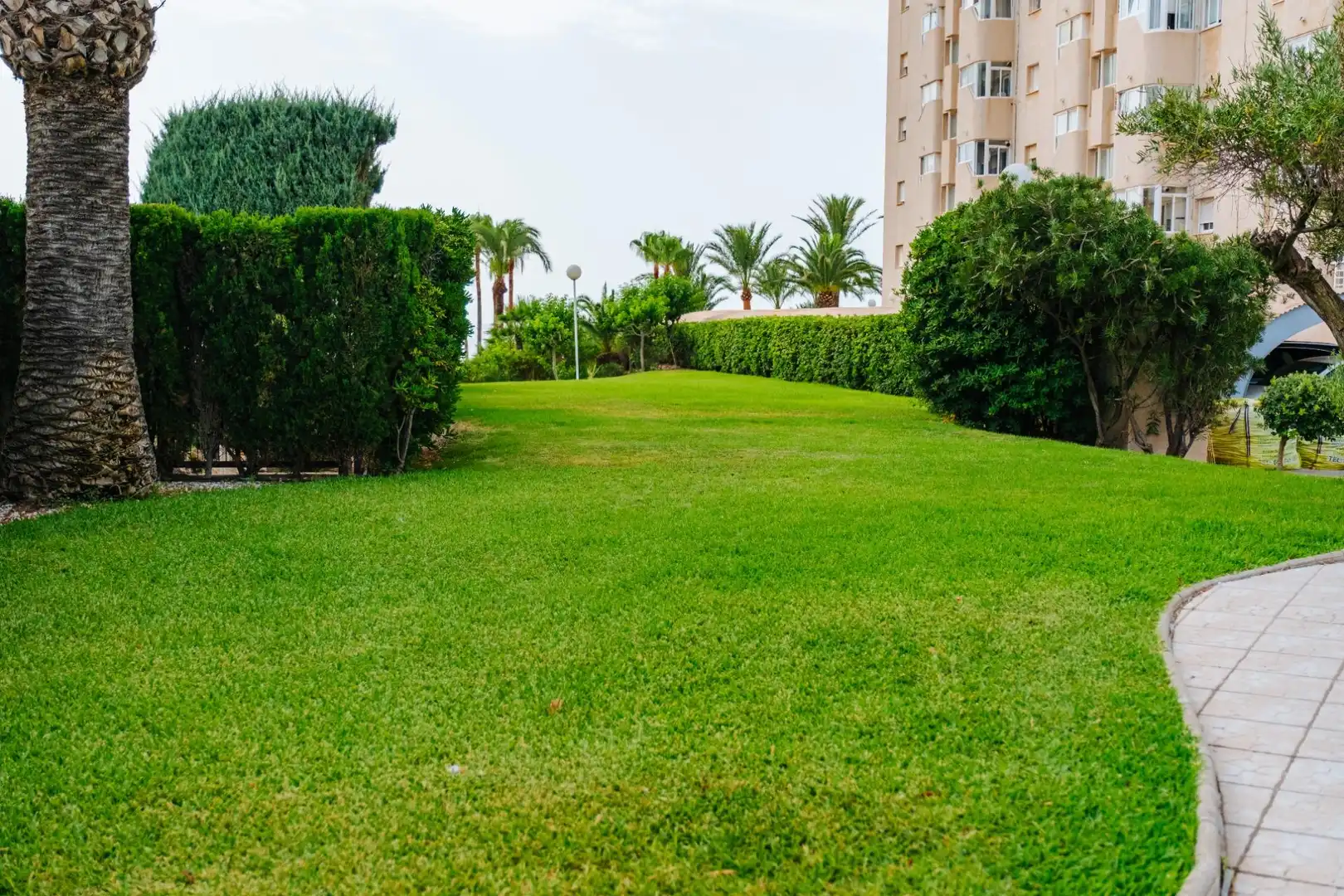 Apartment with pool to rent in Playa Muchavista, imagen 65