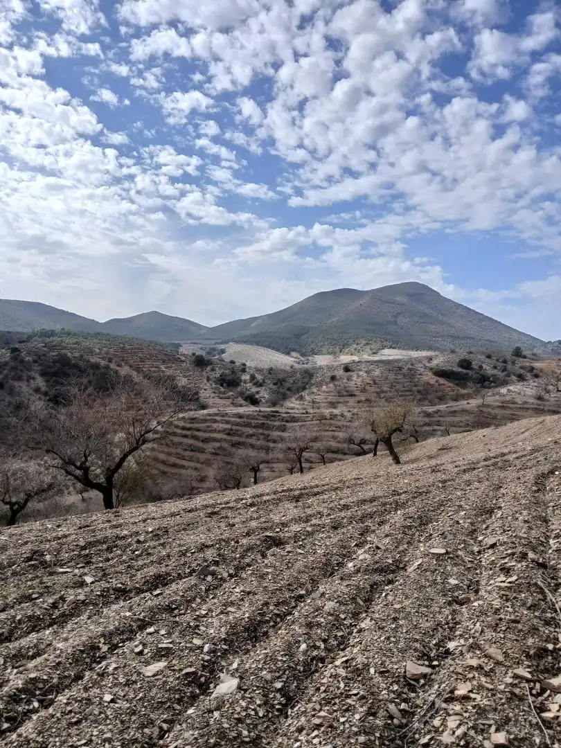 Terrenys i solars en venda a Puerto Lumbreras, imagen 24
